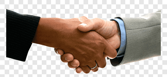 Partner 1